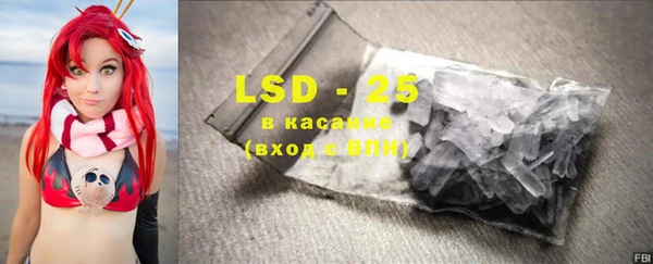 стаф Аркадак