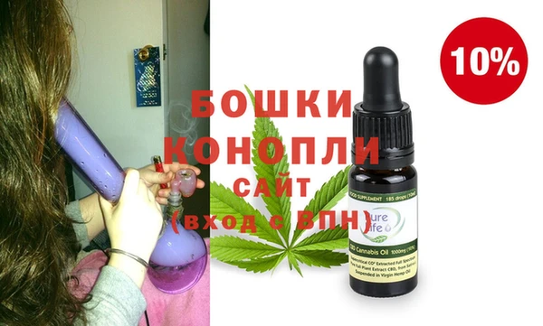 трава Сатка