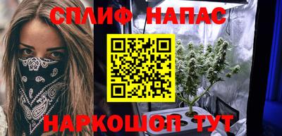 бошки Камышлов