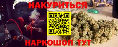 стаф Кандалакша