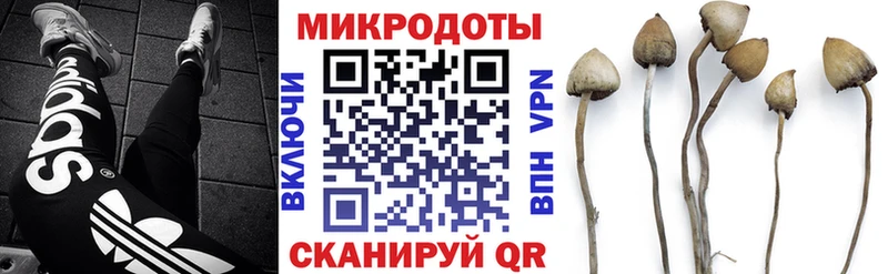 Галлюциногенные грибы мицелий  Лесной 