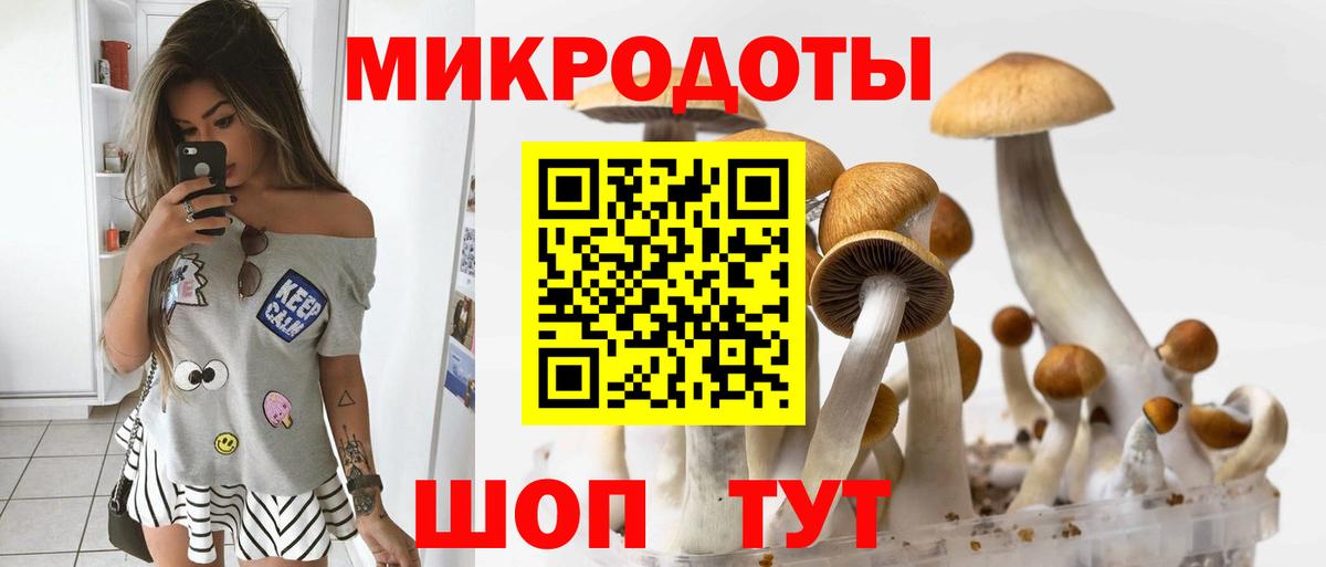 Лесной  Псилоцибиновые грибы Magic Shrooms  Псилоцибиновые грибы MAGIC MUSHROOMS  Вход с VPN 